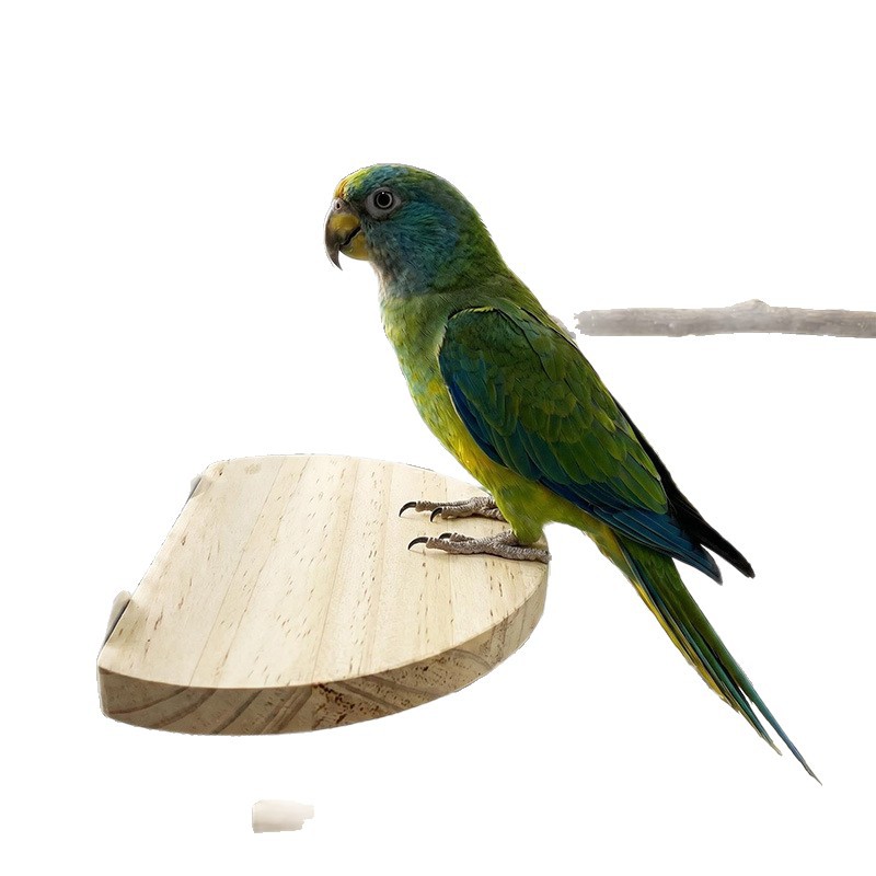 Wooden Semi-Circle Climbing Platform - Hamster Jump Board & Budgie Perch for Bird Cage Accessories detail