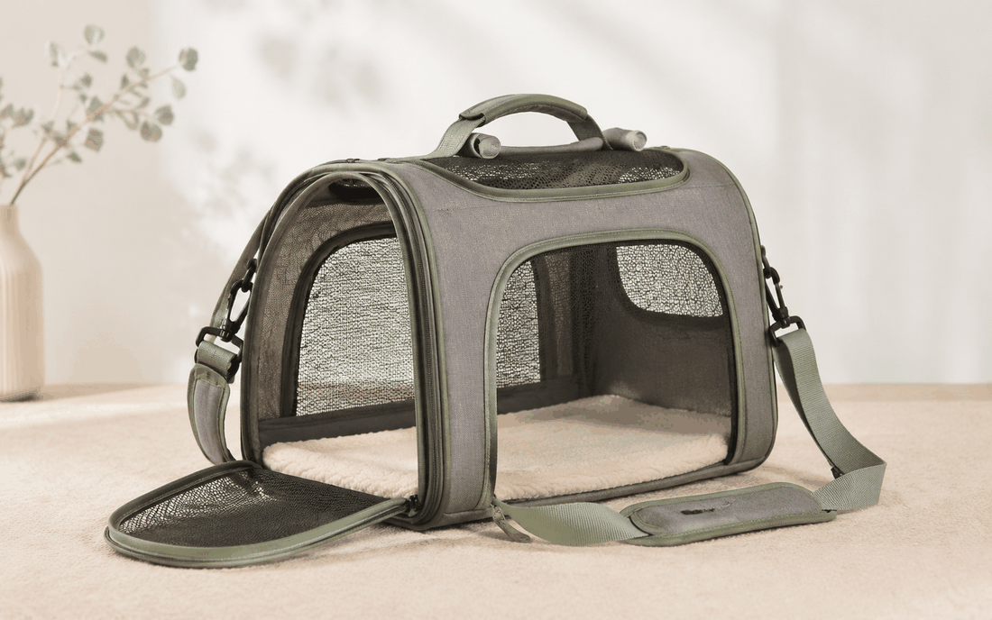 How to Choose a Comfortable Pet Travel Bag